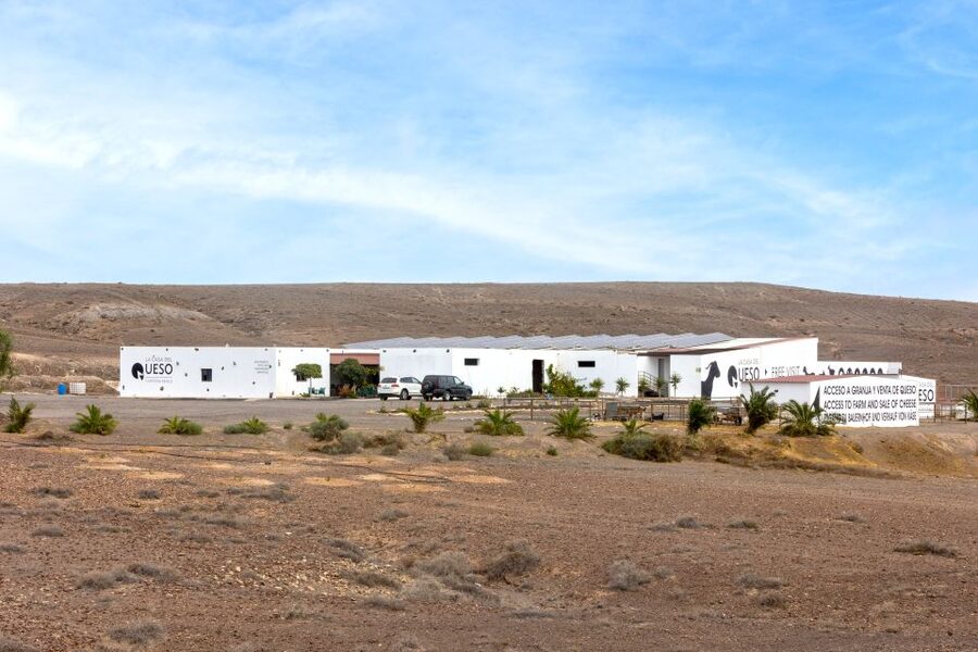 Fuerteventura: Artisan Goat's Cheese Making at Local Farm - A Canarian breakfast with a farm view