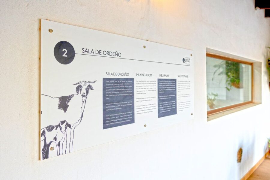 Fuerteventura: Artisan Goat's Cheese Making at Local Farm - Arrival, coffee, and meeting the farm team