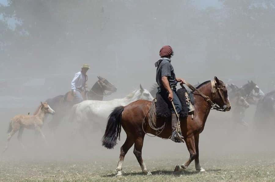 Full-Day at Santa Susana Ranch with BBQ, Drinks and Show - Boleadoras and the skill of the gauchos