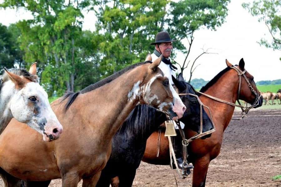 Full-Day at Santa Susana Ranch with BBQ, Drinks and Show - La sortija and other gaucho competitions