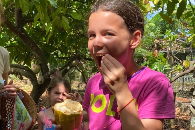 Full Day Experience to Farm and Chocolate - Key points to know before you book