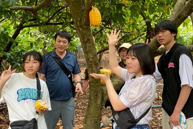 Full Day Experience to Farm and Chocolate - Who will enjoy this experience most
