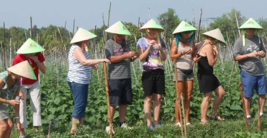 Full-Day Farming & Cooking class at Agricultural Village - Picking ingredients with a bamboo basket