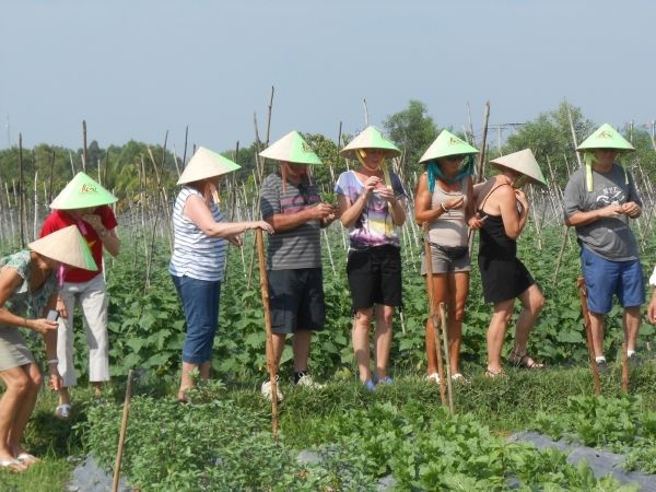 Full-Day Farming & Cooking class at Agricultural Village - Cattle, gardens, mushrooms, and unusual fruit