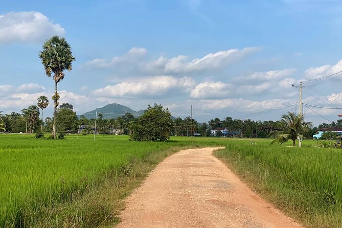 Full Day Pepper Farm Adventure by Scooter - Salt fields: start with Kampot’s working countryside