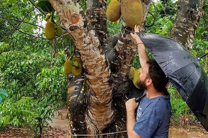 Full Day Private Stone Town, Spice Farm & Prison Island Tour - What the full-day route is really like
