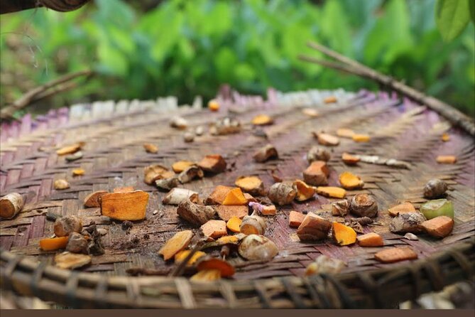 Full Day Private Stone Town, Spice Farm & Prison Island Tour - Should you book this Zanzibar day tour?