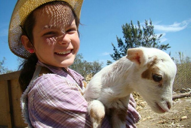 Full-Day Ranch Adventure and Horseback Riding Tour - Key things to know before you book
