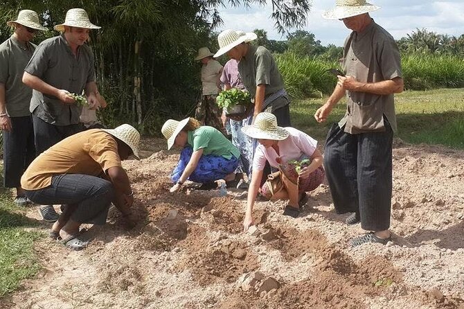 Full Day Siem Reap Farm Tour with Cooking Class and Monk Blessing - Is the $45 price good value?