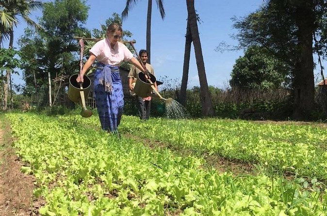 Full Day Siem Reap Farm Tour with Cooking Class and Monk Blessing - Who should book this farm tour?