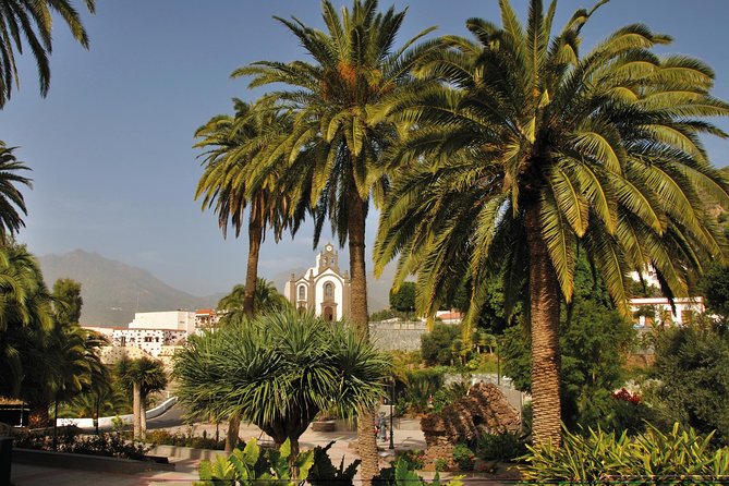 Full-Day Tour Exploring History, Nature and Aloe Vera Farm - Arucas: Rum, Bananas, and a Quick Town Visit
