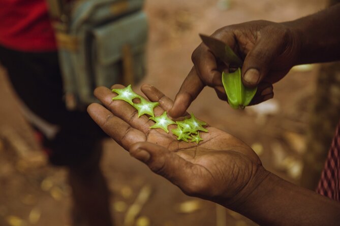 Full Day Trip to Stone Town, Spice Farms and Prison Island - Is $175 a fair price?