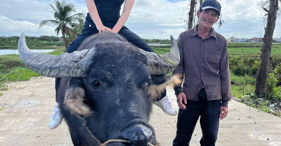 Funny day Biking, Farming, Buffalo riding and Basket boat - Why this Hoi An countryside tour is worth your time