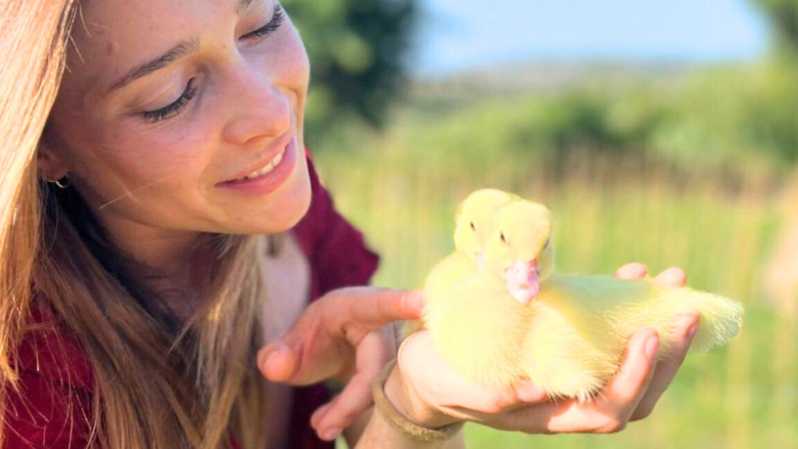 Gallura: Picnic on a Farm with Animals - Key points to know before booking