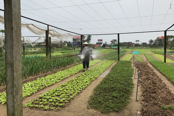 Gardening at Tra Que Vegetable Village and cooking class - Timing, pickup, and useful planning tips