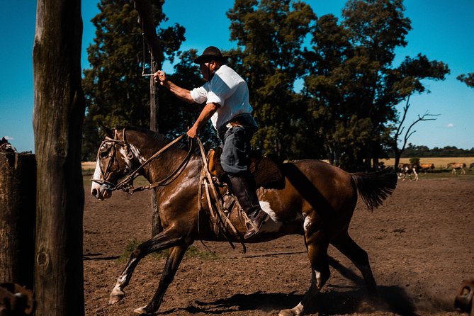 Gaucho Day Trip from Buenos Aires: Santa Susana Ranch - Leaving Buenos Aires for the Santa Susana ranch