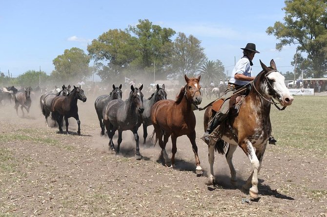 Gaucho Experience: A Day Trip to Don Silvano Ranch - Leaving Buenos Aires for the pampas