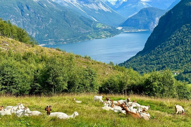 Geiranger by Royal route, 5 hours with visiting a high-mountain farm - Westerås Restaurant: the two-hour centerpiece