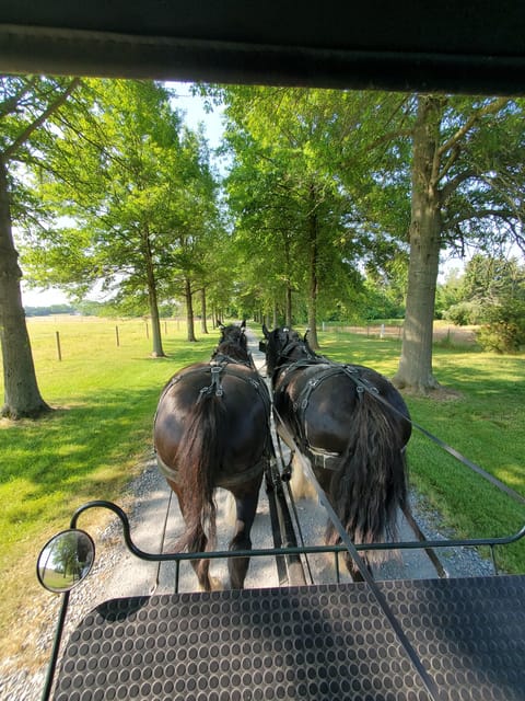 Gettysburg: Horse-Drawn Carriage Tour Countryside & Orchards - Key points at a glance