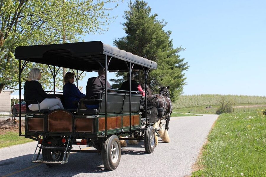 Gettysburg: Horse-Drawn Carriage Tour Countryside & Orchards - Who will enjoy this most?