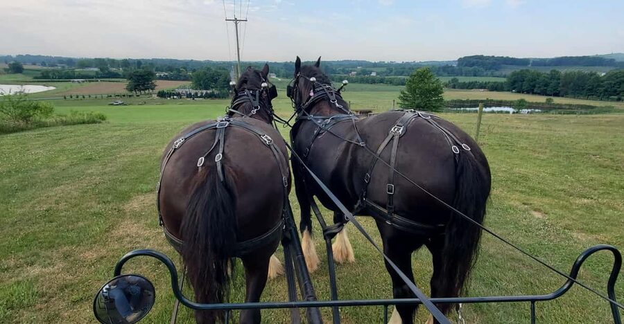 Gettysburg: Horse-Drawn Carriage Tour Countryside & Orchards - Why this makes a good Gettysburg side trip