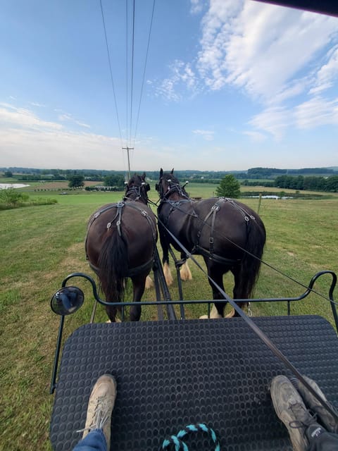 Gettysburg: Horse-Drawn Carriage Tour Countryside & Orchards - Through the orchard and Christmas tree farm