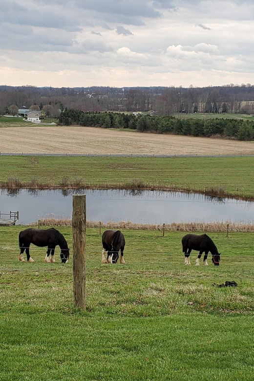 Gettysburg: Horse-Drawn Carriage Tour Countryside & Orchards - The best part may come after the ride