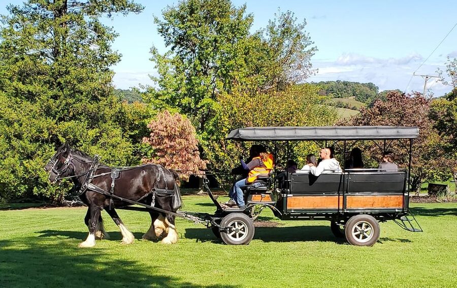 Gettysburg: Horse-Drawn Carriage Tour Countryside & Orchards - Is $44 a fair price for one hour?