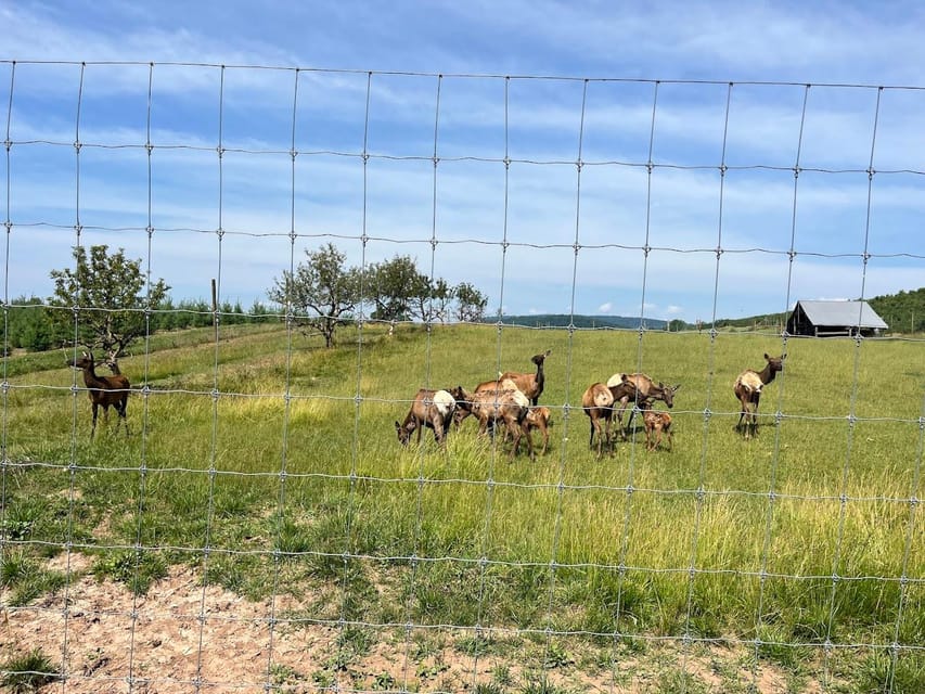 Gettysburg: Horse-Drawn Carriage Tour Countryside & Orchards - Arriving at the red barn near Aspers