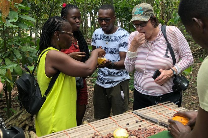 Ghana Eastern Explorer - Boti Falls, Aburi Gardens & Tetther Quarshie Cocoa Farm - Key Points to Know Before You Go