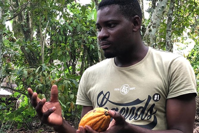 Ghana Eastern Explorer - Boti Falls, Aburi Gardens & Tetther Quarshie Cocoa Farm - Who Should Book This Tour