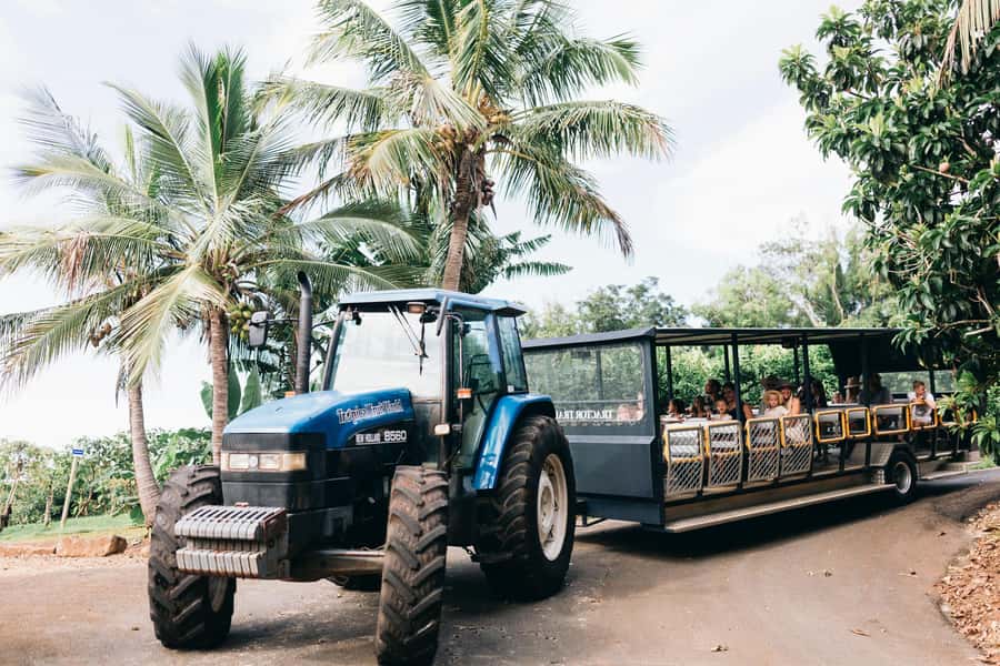 Gold Coast: Tropical Fruit World Full Farm Tour - Sampling freshly picked seasonal fruit