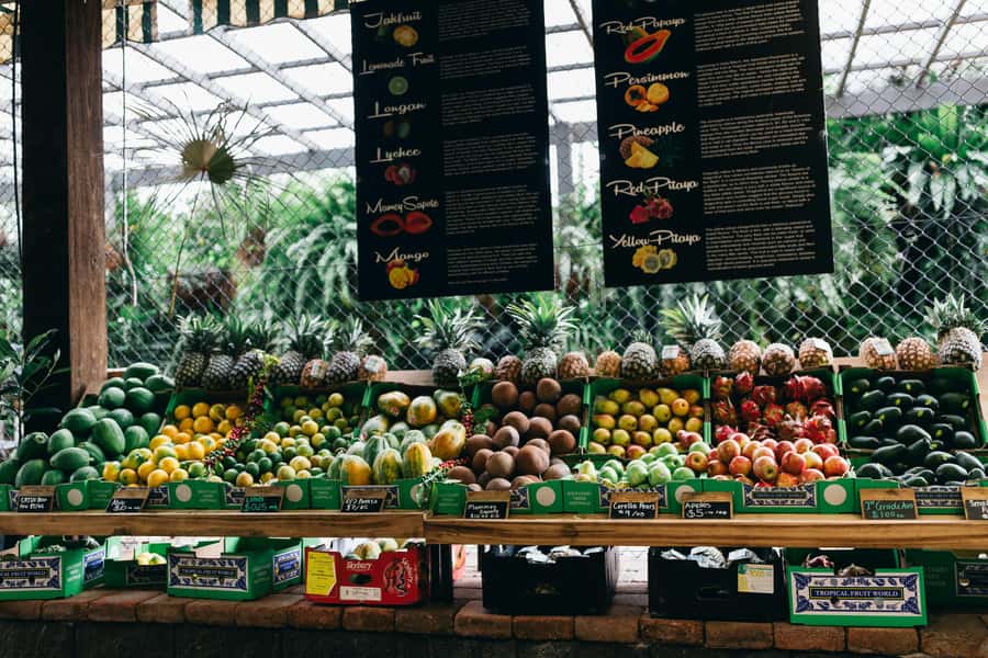 Gold Coast: Tropical Fruit World Full Farm Tour - A few practical ways to enjoy it more