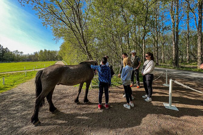 Golden Circle and Lunch at Fridheimar Tomato Farm - with photos - How much time do you really get?