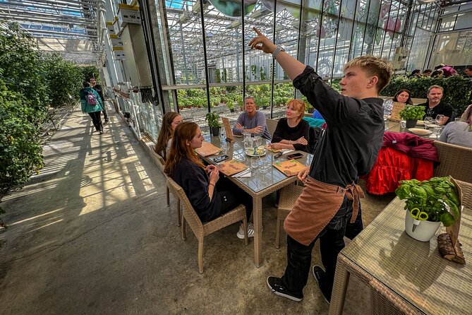 Golden Circle and Lunch at Fridheimar Tomato Farm - with photos - Thingvellir: history where the ground pulls apart