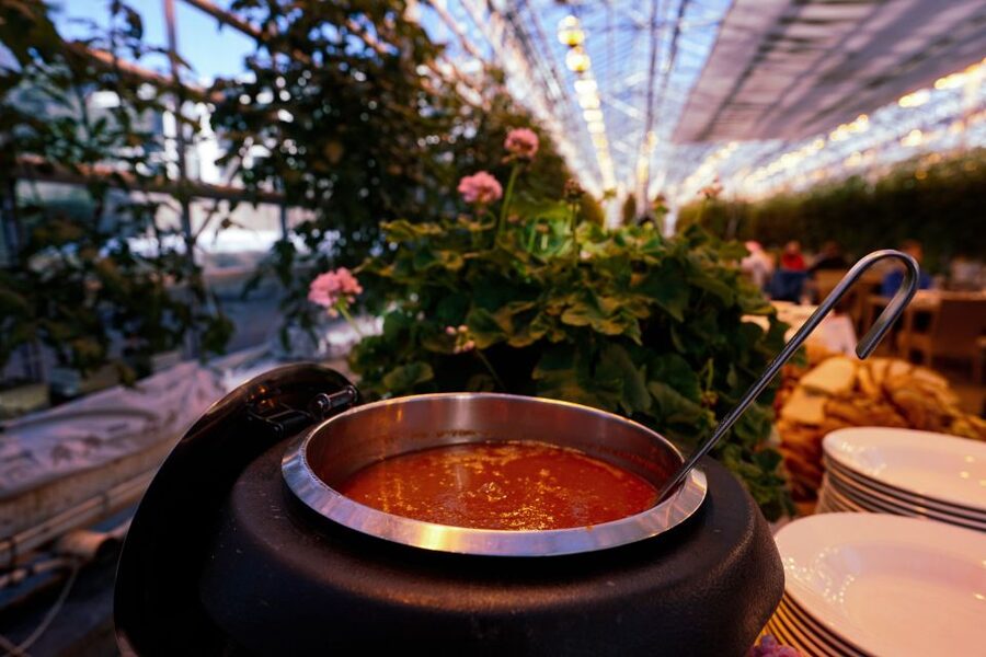 Golden Circle & Lunch at Fridheimar Tomato Farm- with photos - Haukadalur and the Geysir geothermal area