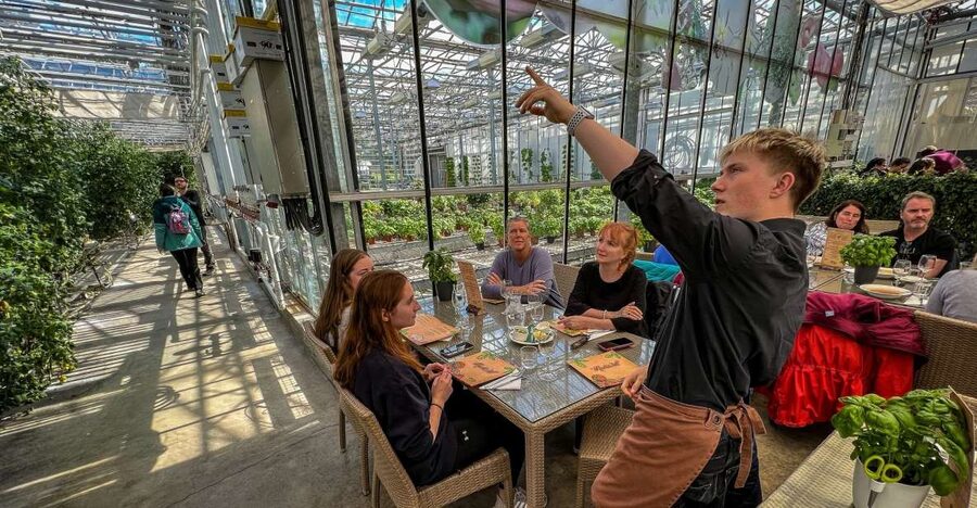 Golden Circle & Lunch at Fridheimar Tomato Farm- with photos - Guides make the small group feel personal