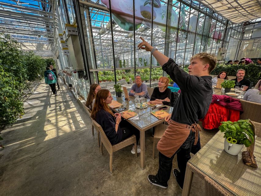 Golden Circle & Lunch at Fridheimar Tomato Farm- with photos - Is $253 a fair price?