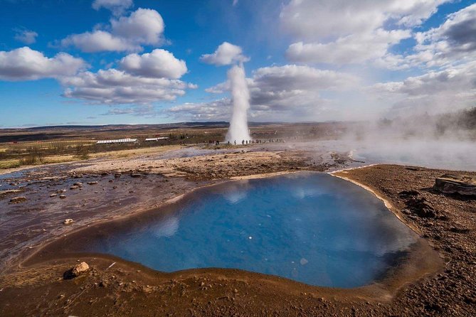 Golden Circle Premium Tour with Fridheimar Farm - What the $180.22 price really buys