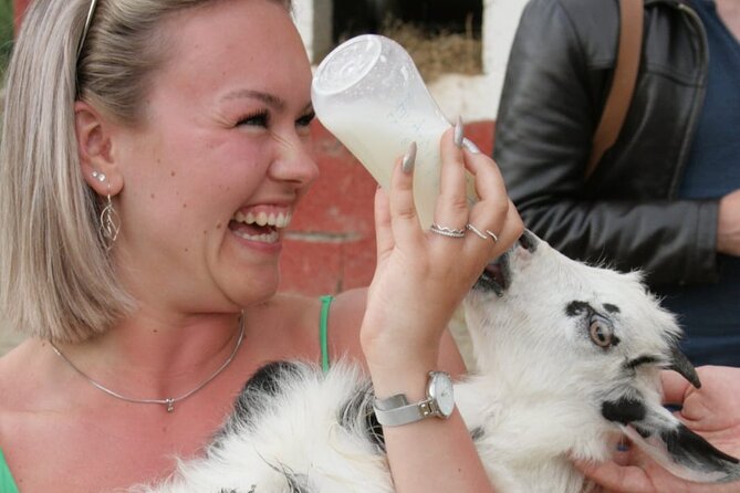 Gourmet Lunch Farm Tour with Cooking Class - Goats, donkeys, pigs, and a hands-on farm visit