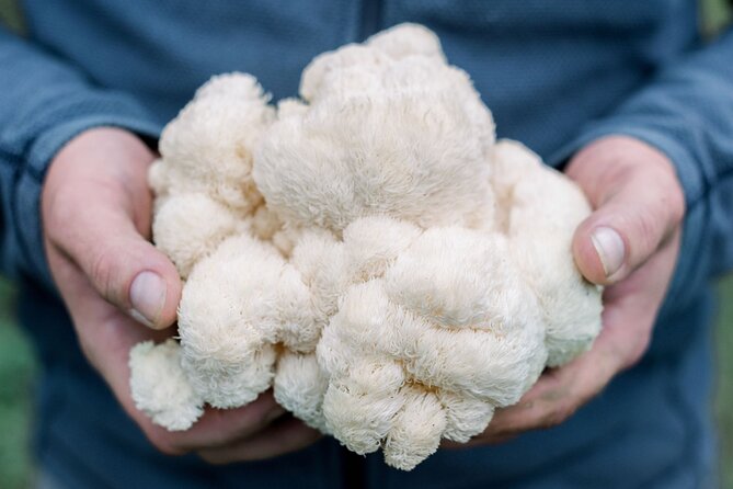 Gourmet Mushroom Farm Tour in Tennessee - Key points to know before you go