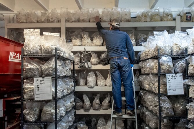 Gourmet Mushroom Farm Tour in Tennessee - Why this little farm makes an interesting Nashville side trip