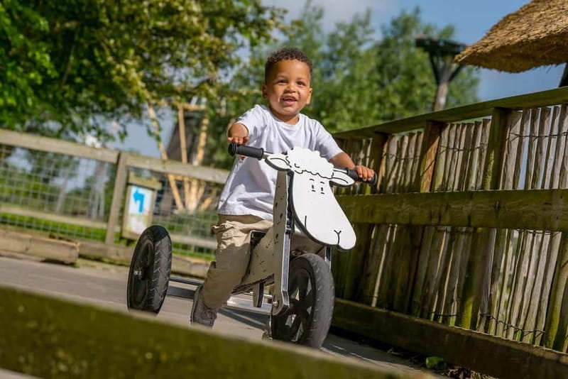 Groot-Ammers: Adventure Farm Molenwaard Entry Ticket - Is the $27 ticket good value?