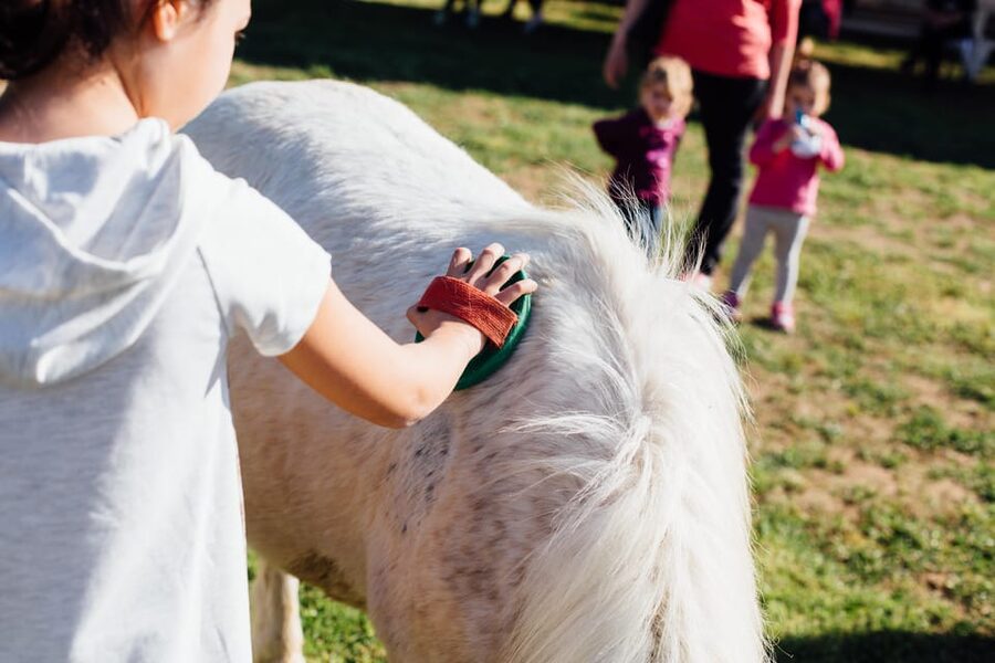 Grosseto: visit the family farm with tasting of local food - The Seasonal Farm Snack