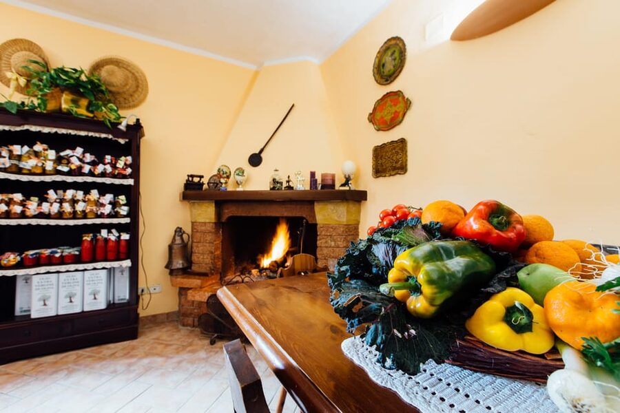 Grosseto: visit the family farm with tasting of local food - Why the Small Group Matters