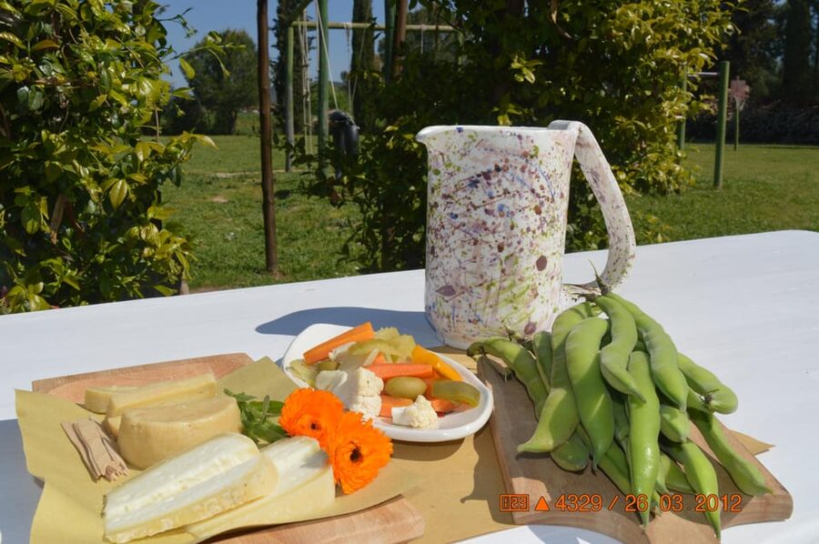 Grosseto: visit the family farm with tasting of local food - Access, Pets, and Practical Planning