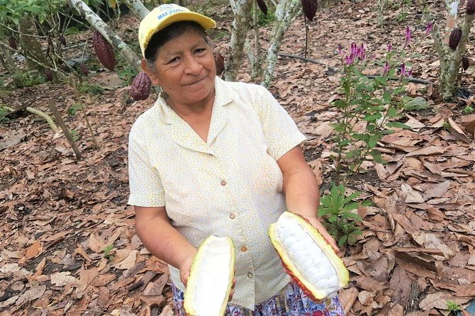 Guayaquil to Cuenca one-way tour with Cajas Park and a Cacao Farm visit - Why this transfer is better than a plain bus ride