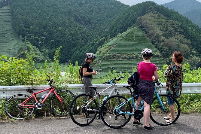 Guided Bike Tour to a Green Tea Farm in Shizuoka (not e-bikes) - Why this Shizuoka bike tour feels different