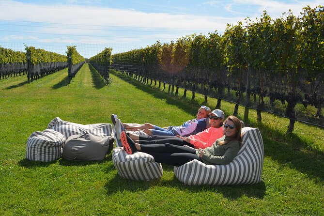 Guided Farm and Wine Country Bike Tour in Mattituck NY - Vineyard time in Mattituck
