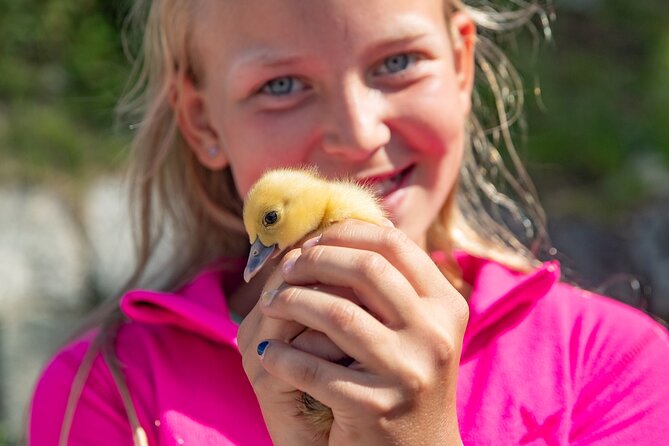 Guided Hiking tour on the Lands of Steim Farm in Vik, Norway - Is this Steim Farm experience worth booking?